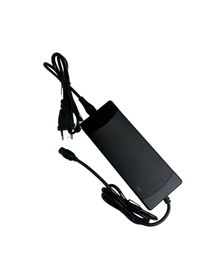 V20 - Oplader (3-pins)